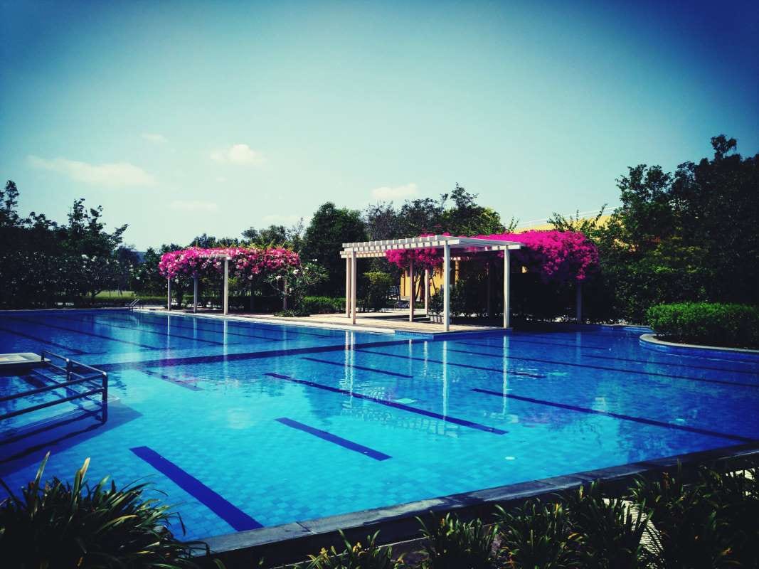 Blue swimming pool under a clear sky for pool service billing schedule tips