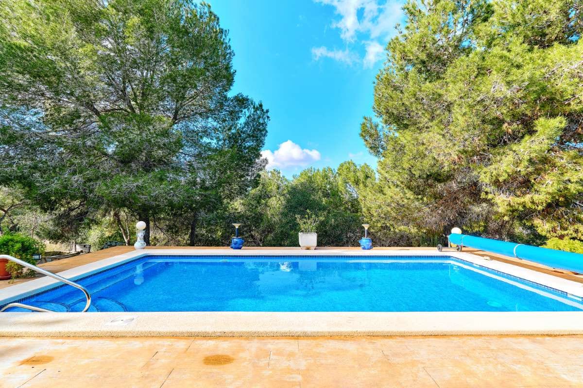 Empty swimming pool with lush trees under a cloudy blue sky