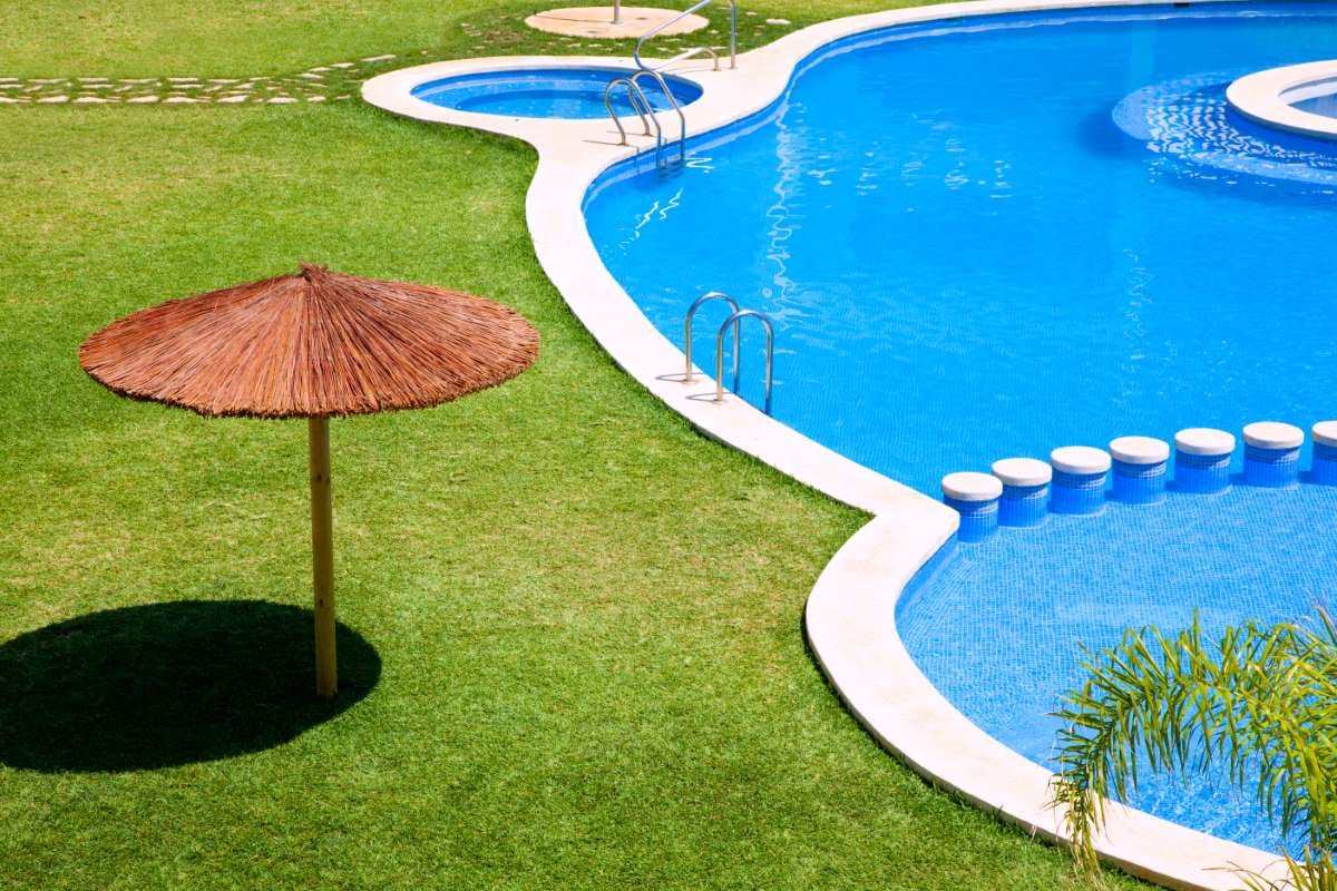 Green garden with grass beside a swimming pool