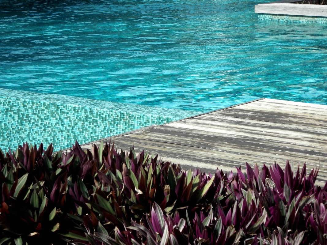 High-angle view of a swimming pool beside the sea