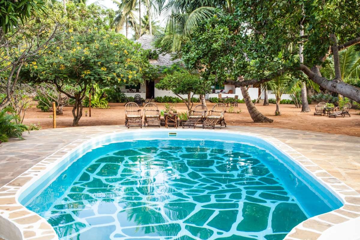 Luxury swimming pool in an African garden with wooden chairs and lush landscaping