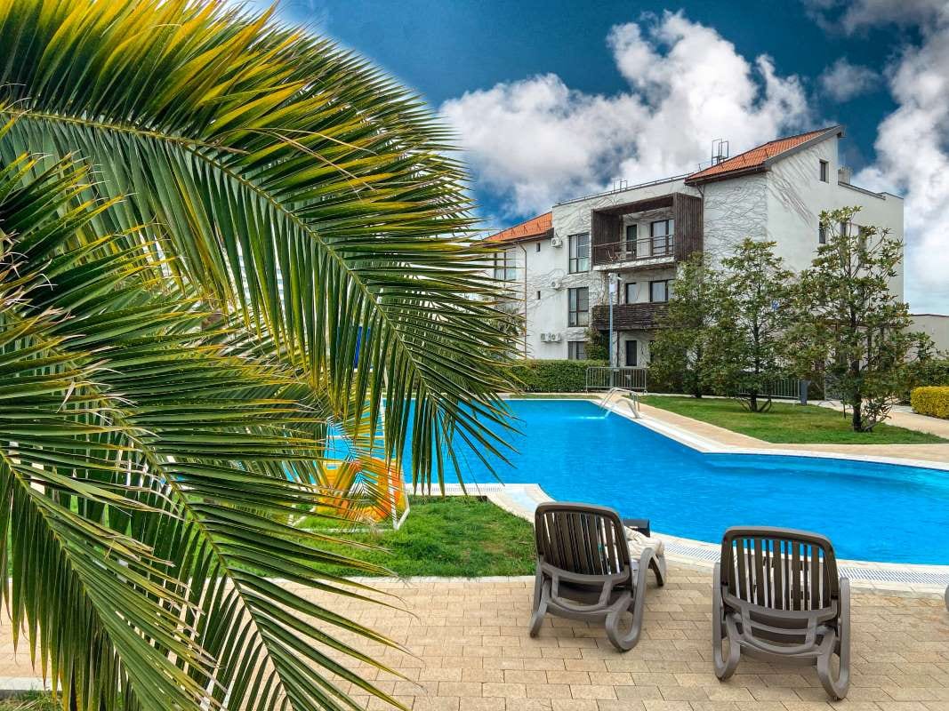 Palm trees beside a swimming pool next to a building